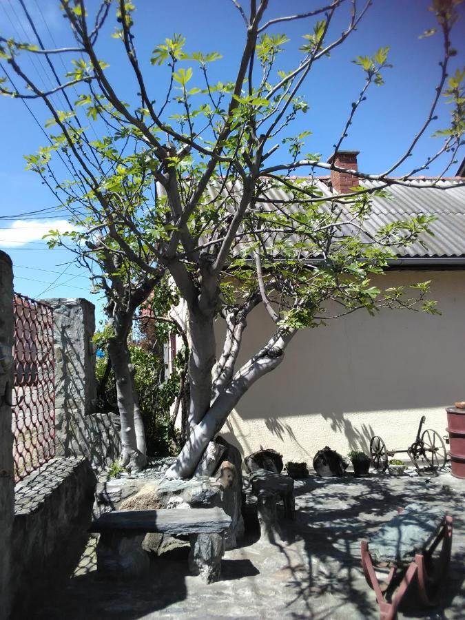 Apartmani Pinkum Veliko Gradište Екстериор снимка